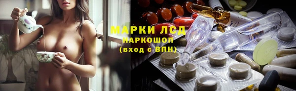 прущий лед Богданович