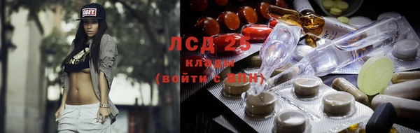 прущий лед Богданович