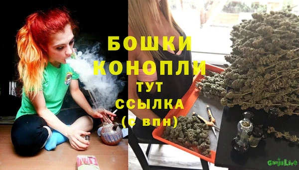 таблы Богородицк