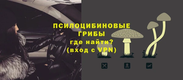 прущий лед Богданович