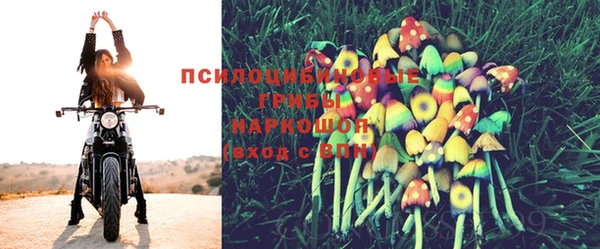 прущий лед Богданович