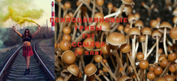 прущий лед Богданович
