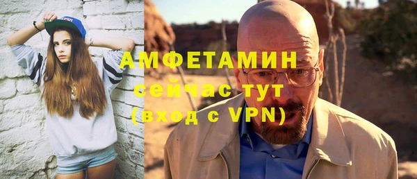 прущий лед Богданович
