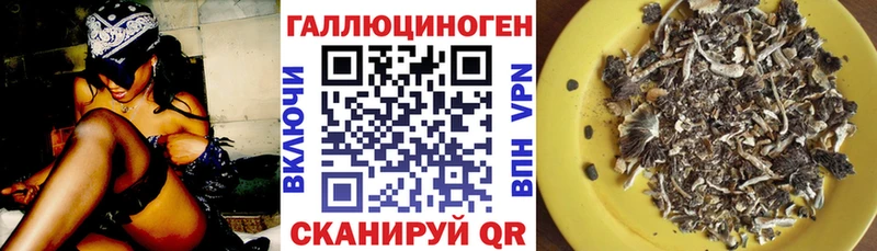Галлюциногенные грибы мухоморы Купить где Котельнич